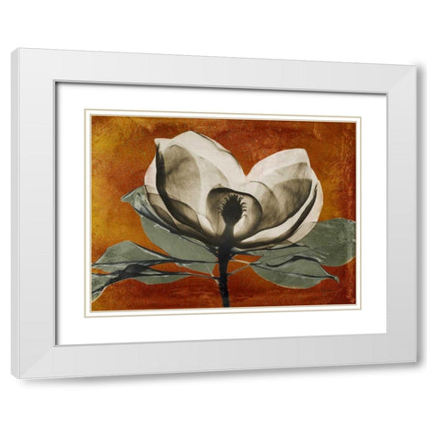 Magnolia Rust 1 White Modern Wood Framed Art Print with Double Matting by Koetsier, Albert