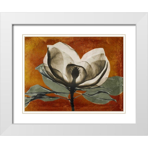 Magnolia Rust 1 White Modern Wood Framed Art Print with Double Matting by Koetsier, Albert