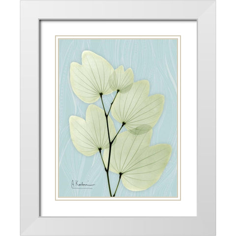 Orchid Tree L122 White Modern Wood Framed Art Print with Double Matting by Koetsier, Albert