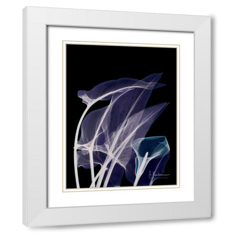 Lily Xray White Modern Wood Framed Art Print with Double Matting by Koetsier, Albert