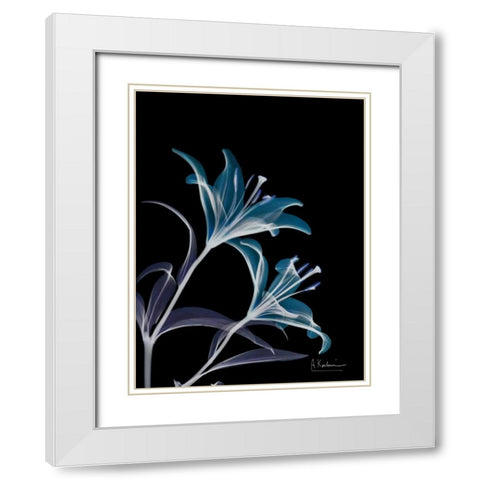 Lily L145 White Modern Wood Framed Art Print with Double Matting by Koetsier, Albert