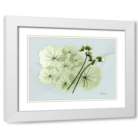 Geranium L48 White Modern Wood Framed Art Print with Double Matting by Koetsier, Albert