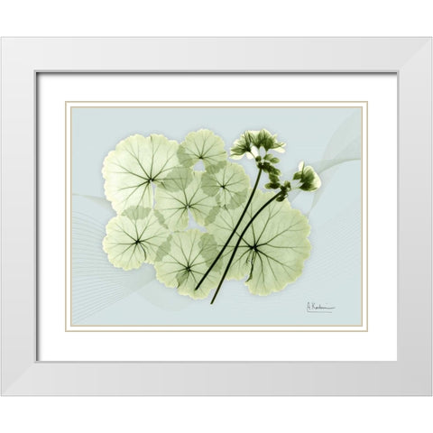 Geranium L48 White Modern Wood Framed Art Print with Double Matting by Koetsier, Albert