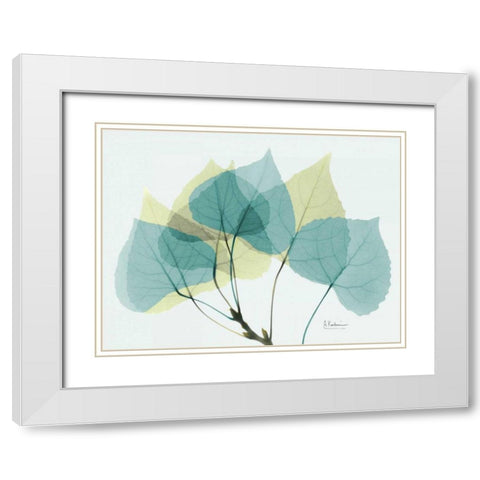 Aspen E143 White Modern Wood Framed Art Print with Double Matting by Koetsier, Albert