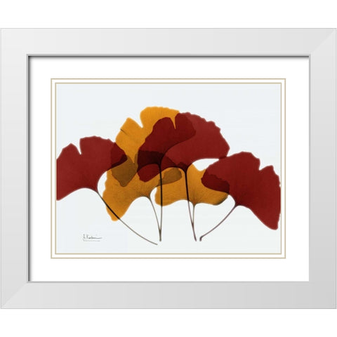 Gingko Fall White Modern Wood Framed Art Print with Double Matting by Koetsier, Albert