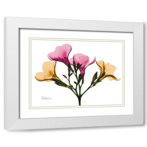 Oleander A56 White Modern Wood Framed Art Print with Double Matting by Koetsier, Albert