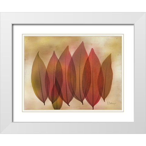 Harvest Light 1 White Modern Wood Framed Art Print with Double Matting by Koetsier, Albert