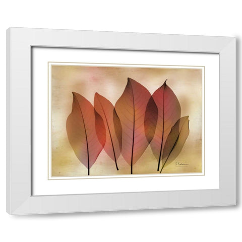 Harvest Light 2 White Modern Wood Framed Art Print with Double Matting by Koetsier, Albert