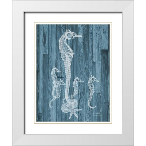 Seahorse Wood White Modern Wood Framed Art Print with Double Matting by Koetsier, Albert