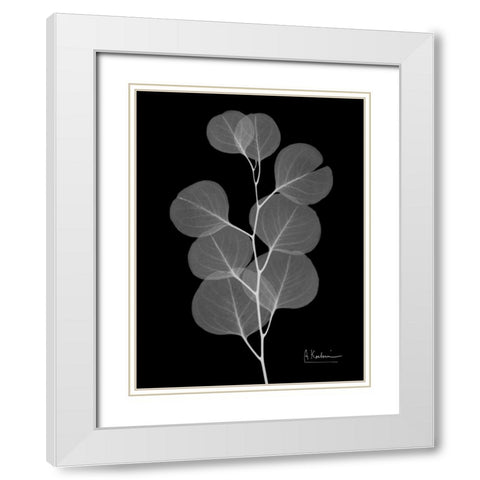 Eucalyptus E196 White Modern Wood Framed Art Print with Double Matting by Koetsier, Albert