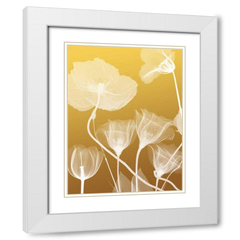 Transparent Flora 1 White Modern Wood Framed Art Print with Double Matting by Koetsier, Albert