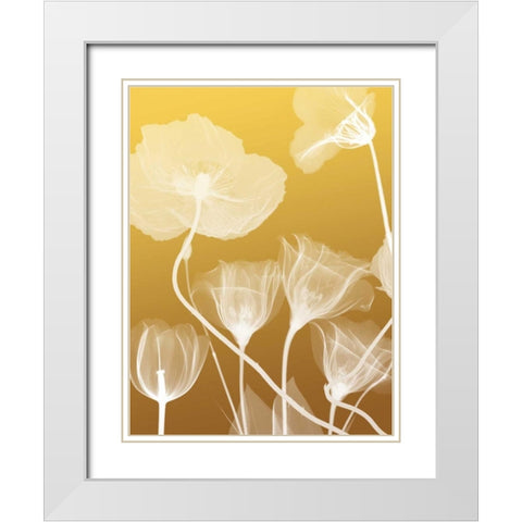 Transparent Flora 1 White Modern Wood Framed Art Print with Double Matting by Koetsier, Albert