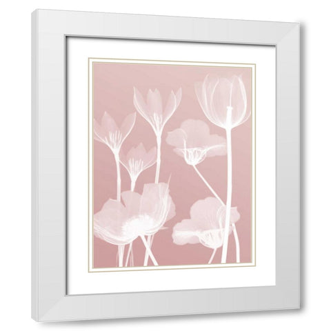 Pink Flora 2  White Modern Wood Framed Art Print with Double Matting by Koetsier, Albert