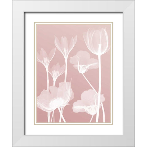 Pink Flora 2  White Modern Wood Framed Art Print with Double Matting by Koetsier, Albert