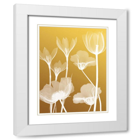Transparent Flora 2 White Modern Wood Framed Art Print with Double Matting by Koetsier, Albert