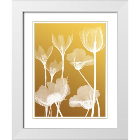 Transparent Flora 2 White Modern Wood Framed Art Print with Double Matting by Koetsier, Albert