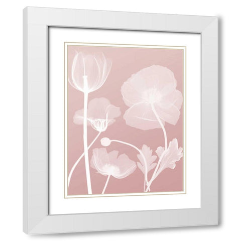 Pink Flora 3 White Modern Wood Framed Art Print with Double Matting by Koetsier, Albert