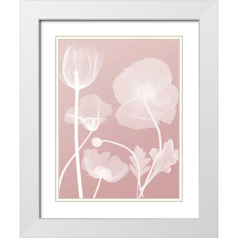 Pink Flora 3 White Modern Wood Framed Art Print with Double Matting by Koetsier, Albert
