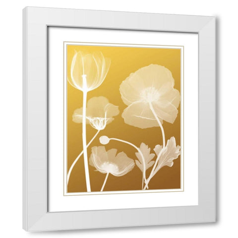 Transparent Flora 3 White Modern Wood Framed Art Print with Double Matting by Koetsier, Albert