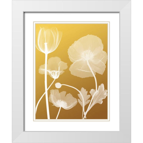 Transparent Flora 3 White Modern Wood Framed Art Print with Double Matting by Koetsier, Albert