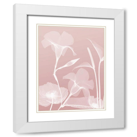 Pink Flora 4 White Modern Wood Framed Art Print with Double Matting by Koetsier, Albert