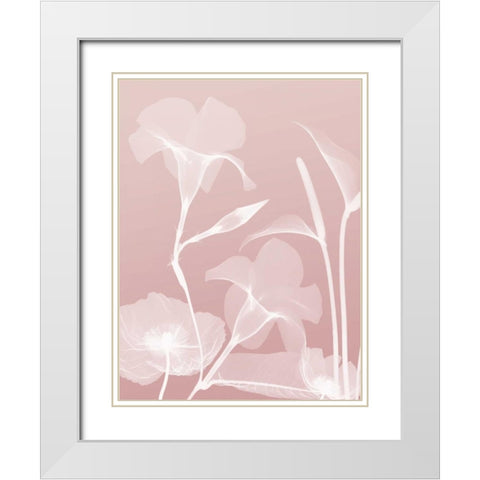 Pink Flora 4 White Modern Wood Framed Art Print with Double Matting by Koetsier, Albert