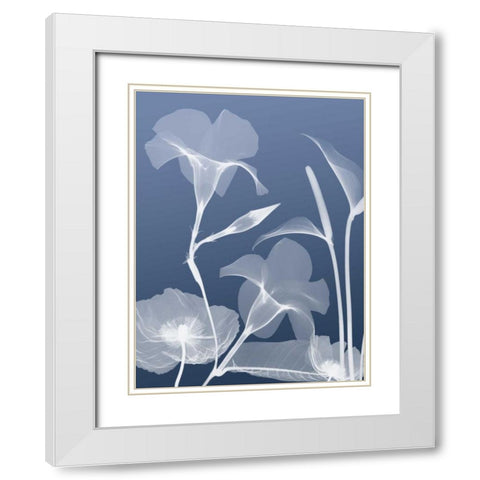 Transparent Flora 4 White Modern Wood Framed Art Print with Double Matting by Koetsier, Albert