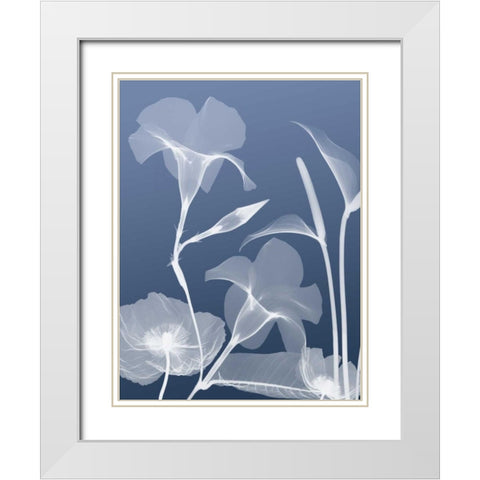 Transparent Flora 4 White Modern Wood Framed Art Print with Double Matting by Koetsier, Albert
