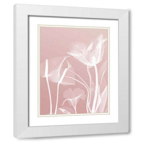 Pink Flora 5 White Modern Wood Framed Art Print with Double Matting by Koetsier, Albert