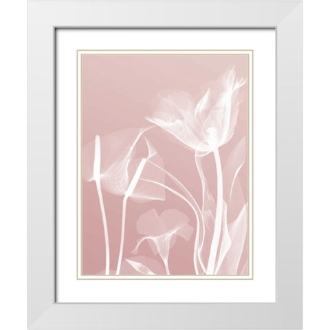 Pink Flora 5 White Modern Wood Framed Art Print with Double Matting by Koetsier, Albert