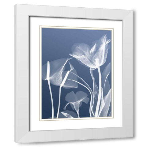 Transparent Flora 5 White Modern Wood Framed Art Print with Double Matting by Koetsier, Albert