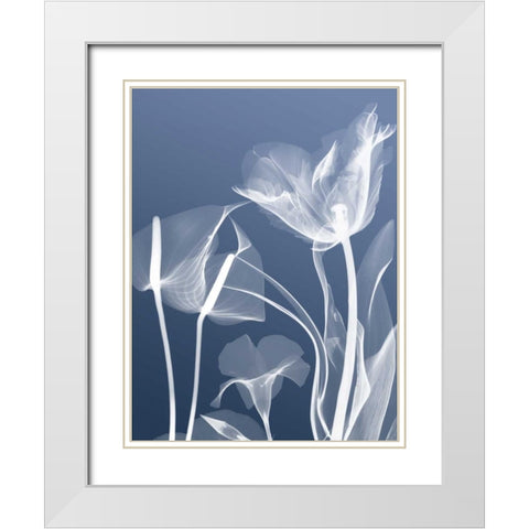 Transparent Flora 5 White Modern Wood Framed Art Print with Double Matting by Koetsier, Albert