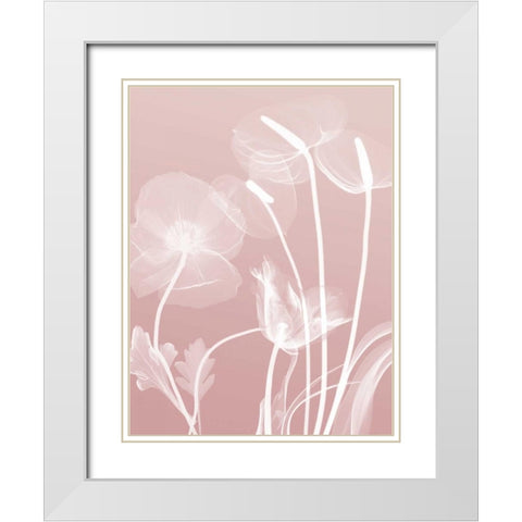 Pink Flora 6 White Modern Wood Framed Art Print with Double Matting by Koetsier, Albert