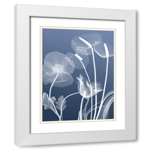 Transparent Flora 6 White Modern Wood Framed Art Print with Double Matting by Koetsier, Albert