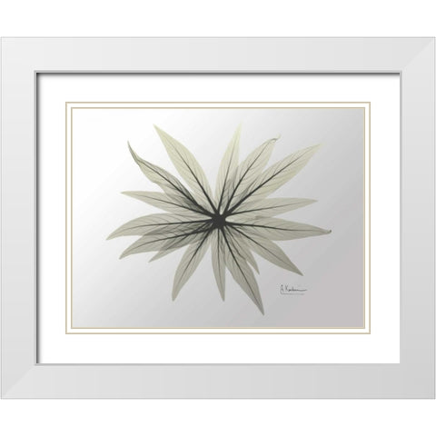 New Echium White Modern Wood Framed Art Print with Double Matting by Koetsier, Albert