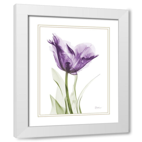 Lavender Trance White Modern Wood Framed Art Print with Double Matting by Koetsier, Albert