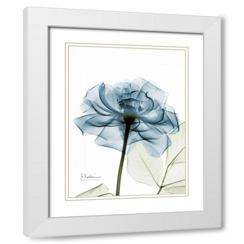 Teal Rose White Modern Wood Framed Art Print with Double Matting by Koetsier, Albert