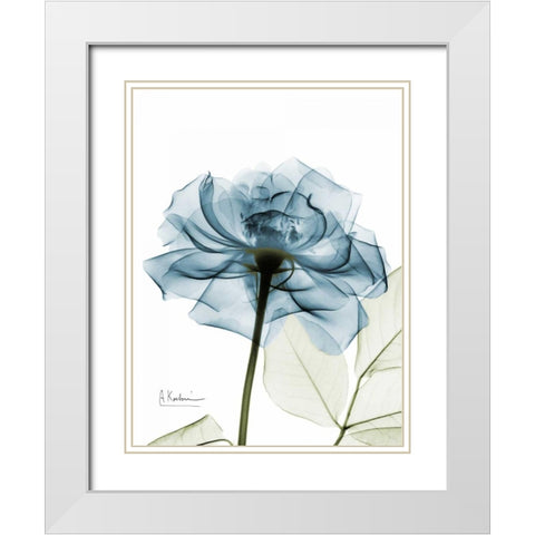 Teal Rose White Modern Wood Framed Art Print with Double Matting by Koetsier, Albert