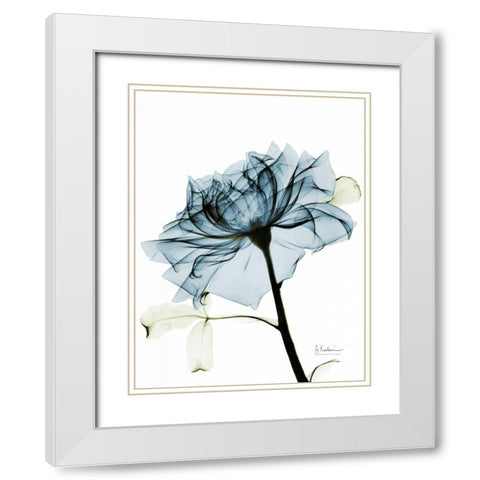 Teal Rose 2 White Modern Wood Framed Art Print with Double Matting by Koetsier, Albert