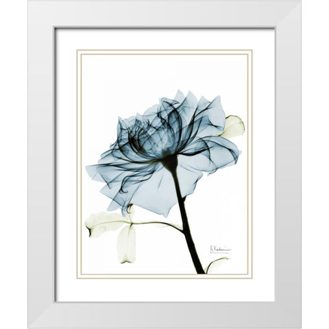 Teal Rose 2 White Modern Wood Framed Art Print with Double Matting by Koetsier, Albert