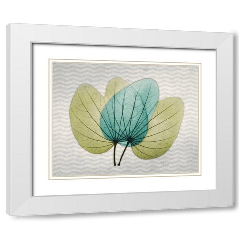 Citrus Orchid Tree White Modern Wood Framed Art Print with Double Matting by Koetsier, Albert