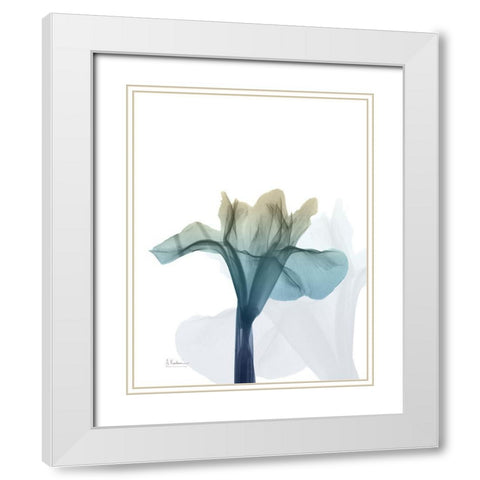 Ombre Expression 6 White Modern Wood Framed Art Print with Double Matting by Koetsier, Albert