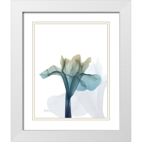 Ombre Expression 6 White Modern Wood Framed Art Print with Double Matting by Koetsier, Albert