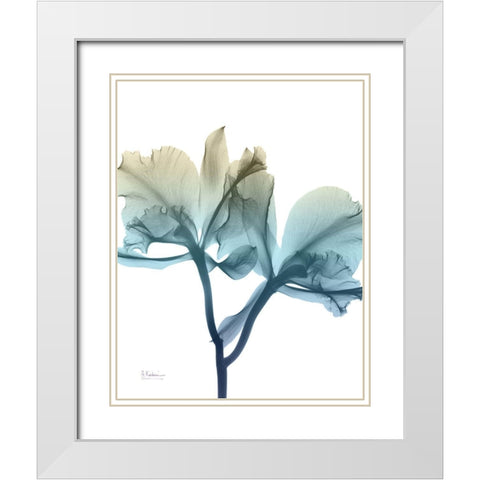 Ombre Expression 8 White Modern Wood Framed Art Print with Double Matting by Koetsier, Albert