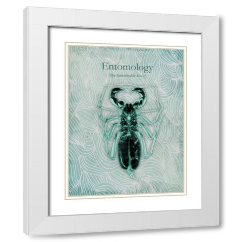 Indomitable Insect White Modern Wood Framed Art Print with Double Matting by Koetsier, Albert