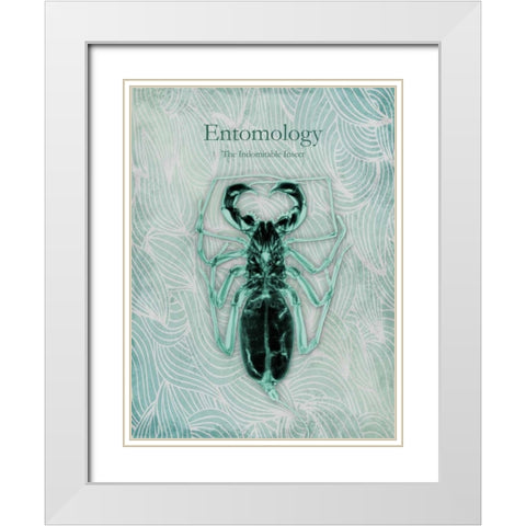 Indomitable Insect White Modern Wood Framed Art Print with Double Matting by Koetsier, Albert