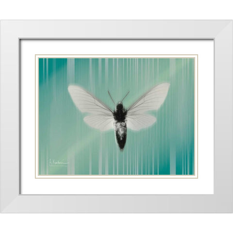 Manduca The Pilot White Modern Wood Framed Art Print with Double Matting by Koetsier, Albert