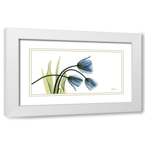 The Three Tulips White Modern Wood Framed Art Print with Double Matting by Koetsier, Albert