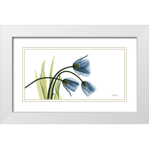 The Three Tulips White Modern Wood Framed Art Print with Double Matting by Koetsier, Albert