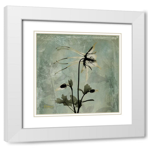 Columbine White Modern Wood Framed Art Print with Double Matting by Koetsier, Albert